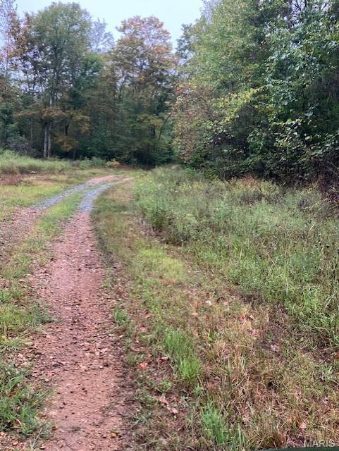 153 Madison CR 410, Unincorporated, MO, 63645 - 0 bed, 0 bath home for sale in Fredericktown, MO
