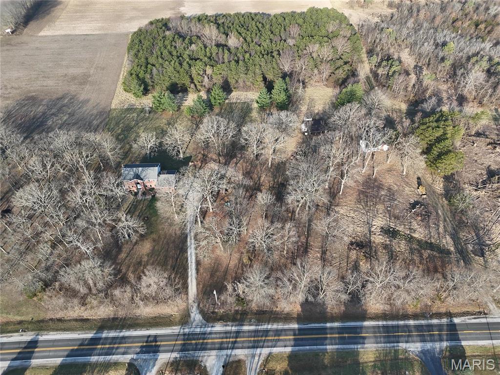 First slide