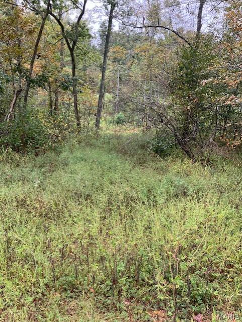162 Madison CR 410, Unincorporated, MO, 63645 - 0 bed, 0 bath home for sale in Fredericktown, MO