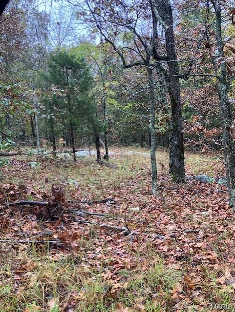 163 Madison CR 410, Unincorporated, MO, 63645 - 0 bed, 0 bath home for sale in Fredericktown, MO